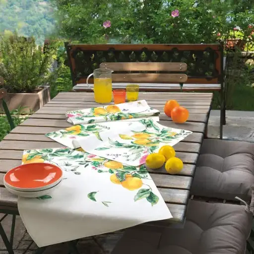 [24430-str-441] Vallesusa strofinaccio monospugna Citrus