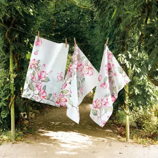 [24429-str-170] Vallesusa strofinaccio monospugna Magnolia 